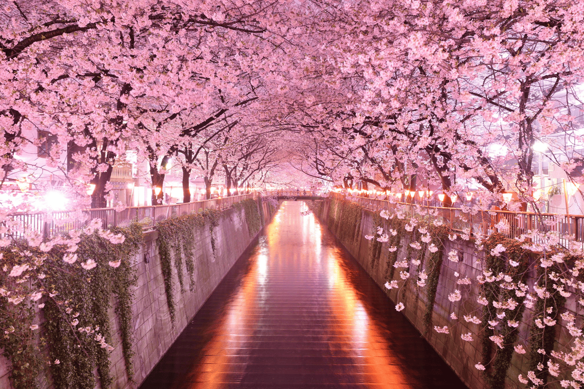 Tokyo e youkoso! 10 must-sees in de hoofdstad van Japan