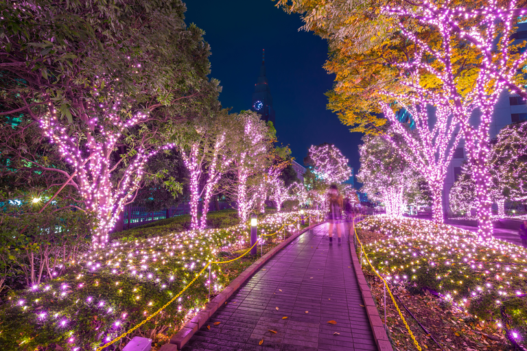 asia-japan-tokyo-shinjuku-district-christmas-lights