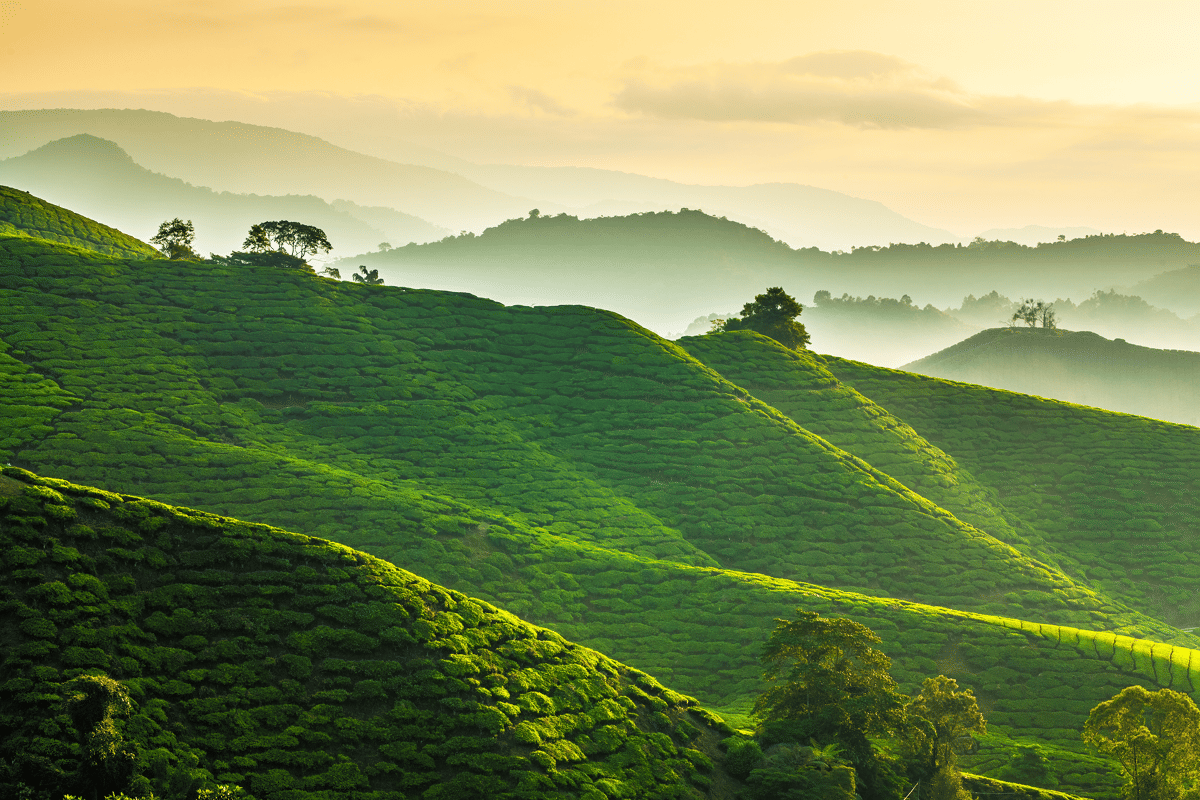 Top 10 things to do in Malaysia