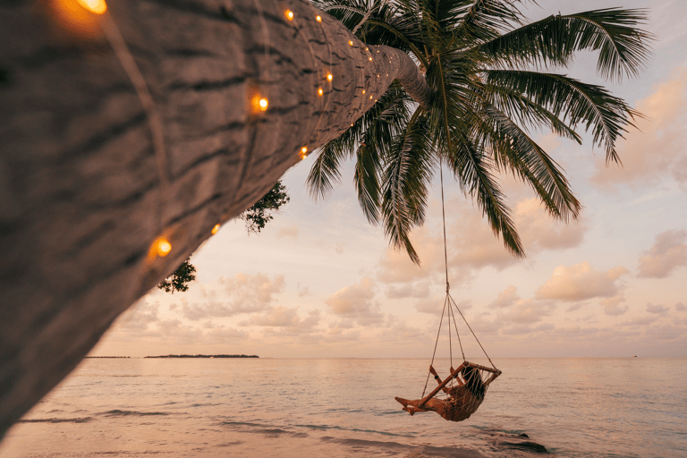 asia-maldives-tropical-islands-sunset-swing-palmtree-woman