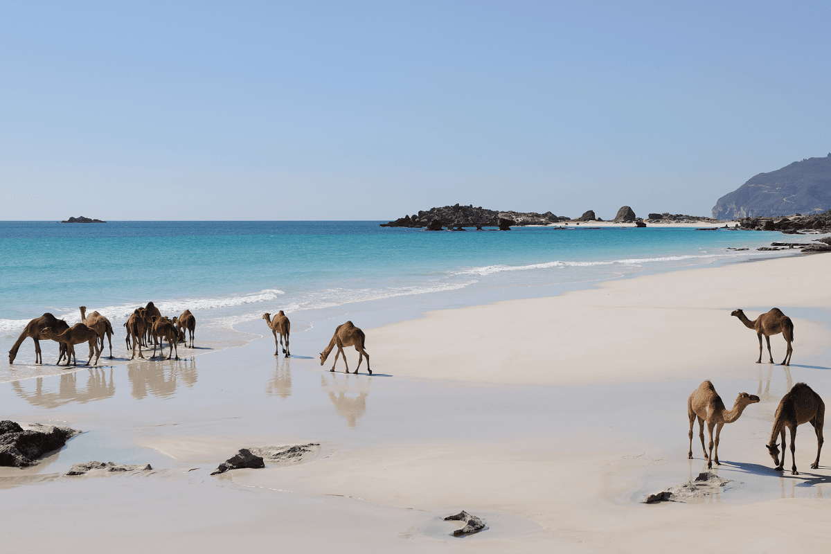 Op vakantie naar Oman: Tips en beste reistijd