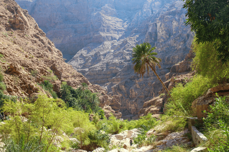 asia-oman-wadi-shab-palm-tree-view