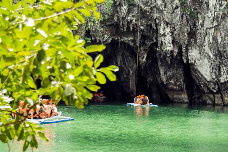 asia-philippines-palawan-river-tree