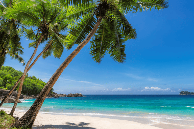 asia-philippines-white-beach-ocean-palm-trees
