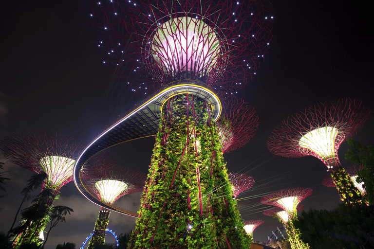 asia-singapore-futuristic-gardens-by-night