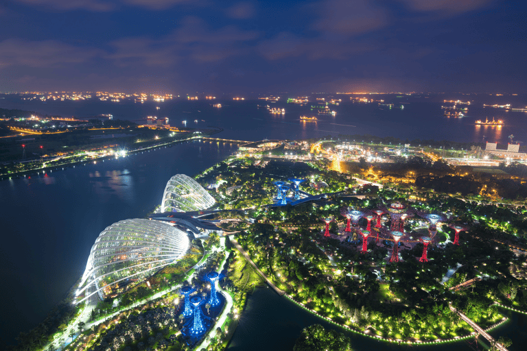 asia-singapore-garden-by-the-bay-night
