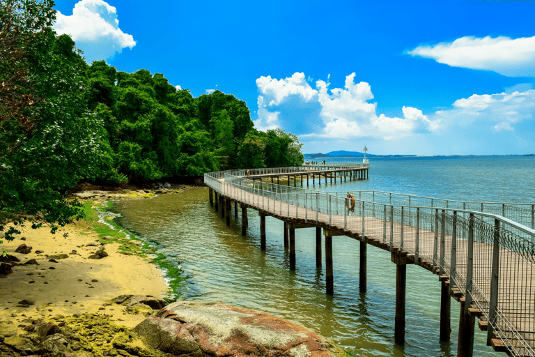 asia-singapore-pulau-ubin-island-nature-boardwalk