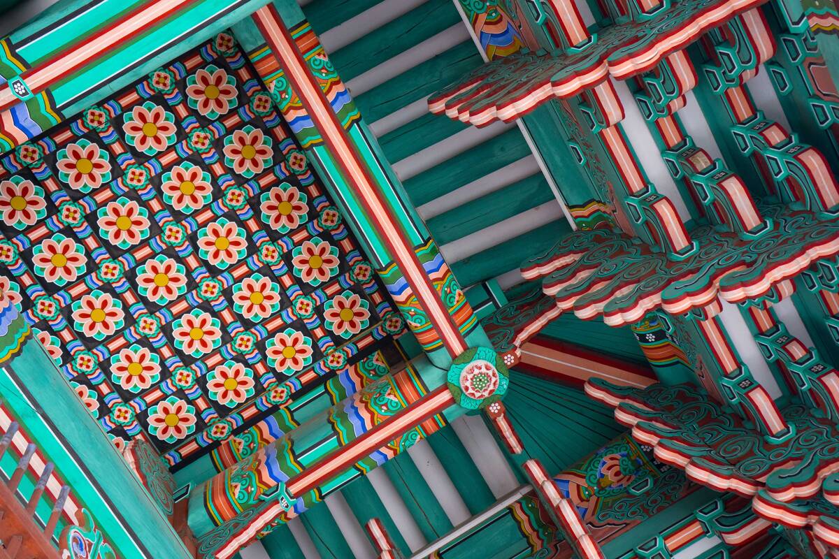 South Korea has something for everyone