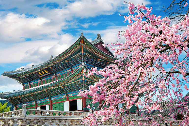 asia-south-korea-seoul-palace-spring-cherry-blossoms