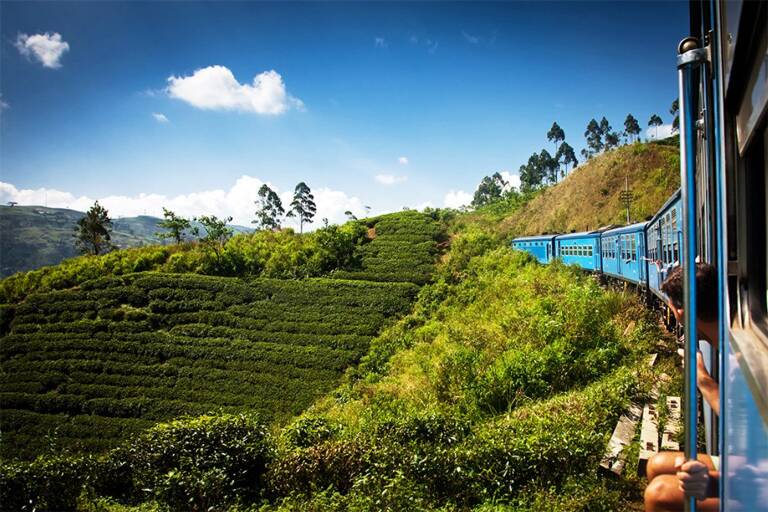 asia-sri-lanka-train-rice-fields-landscape-BLOG