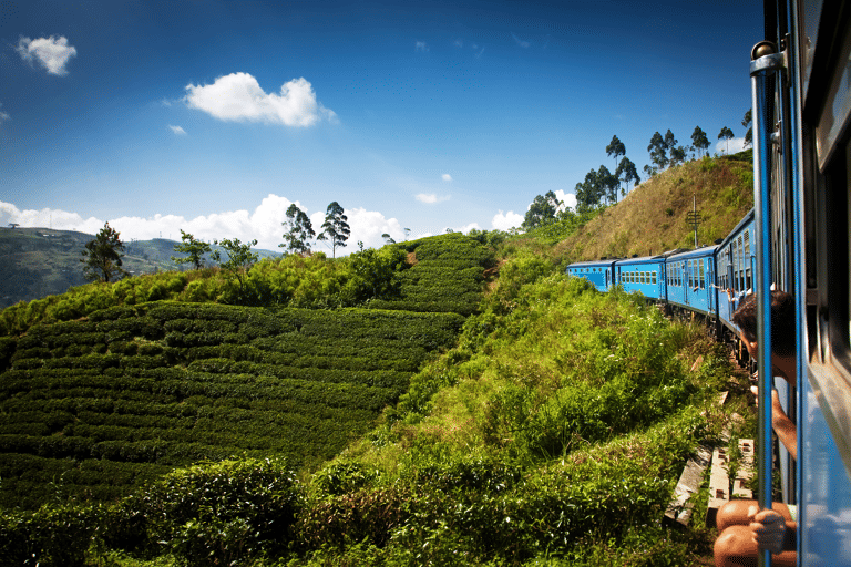 asia-sri-lanka-train-rice-fields-landscape