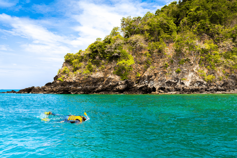 asia-thailand-koh-mai-phai-trees-scuba-diving
