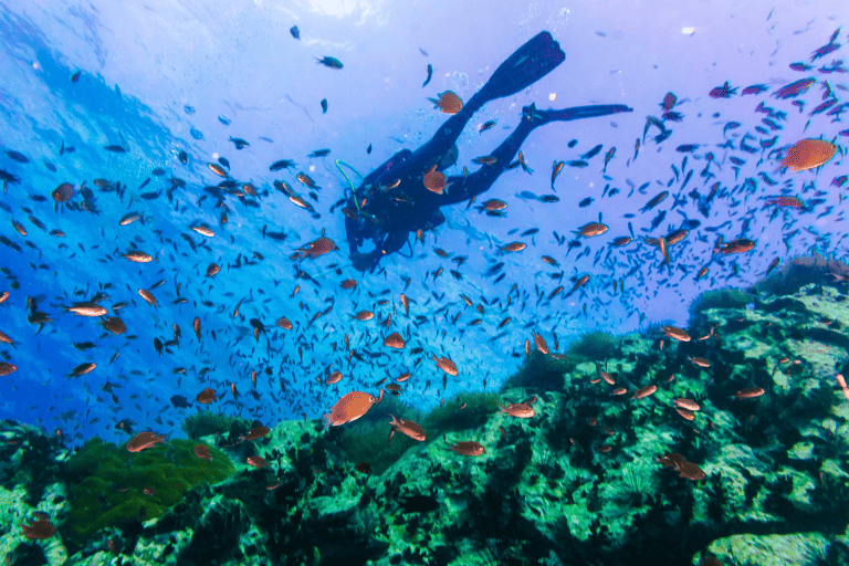 asia-thailand-koh-tao-dive