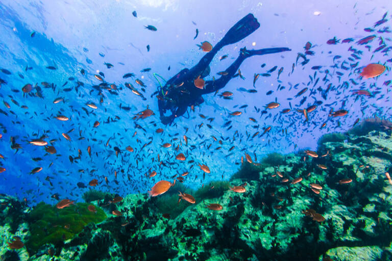 asia-thailand-koh-tao