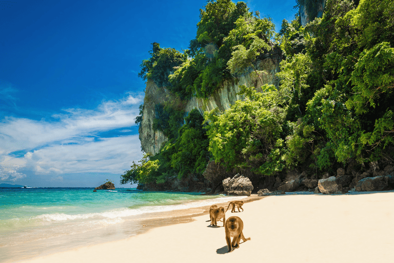 asia-thailand-monkey-beach-phi-phi-islands