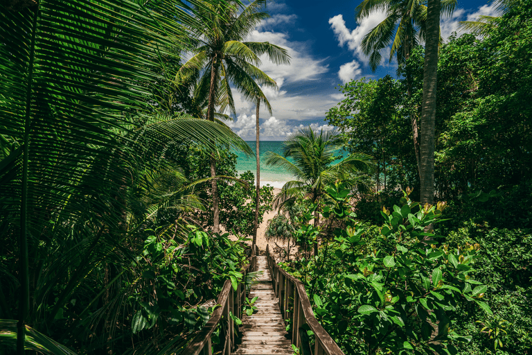 asia-thailand-phuket-beach-jungle