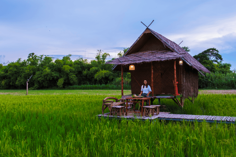 asia-thailand-rice-fields-lodge-woman