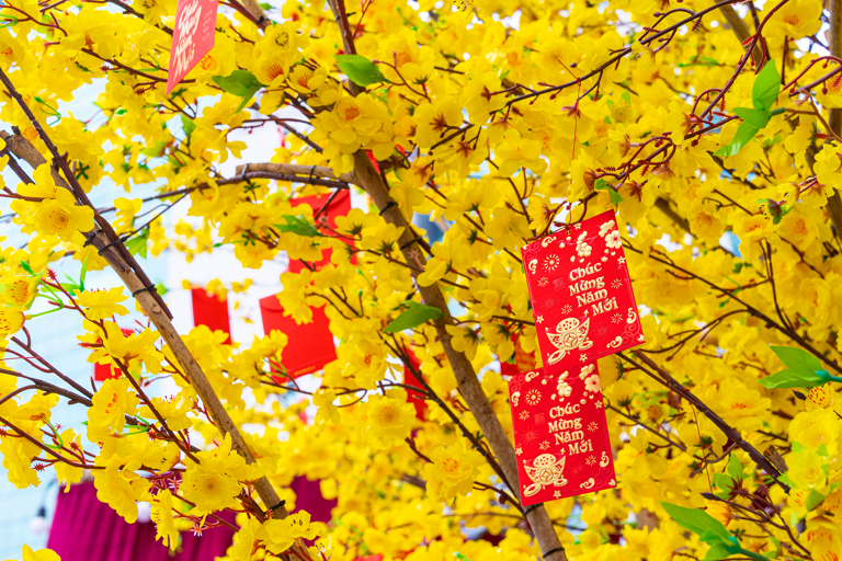asia-vietnam-lunar-new-year-tree-decorations