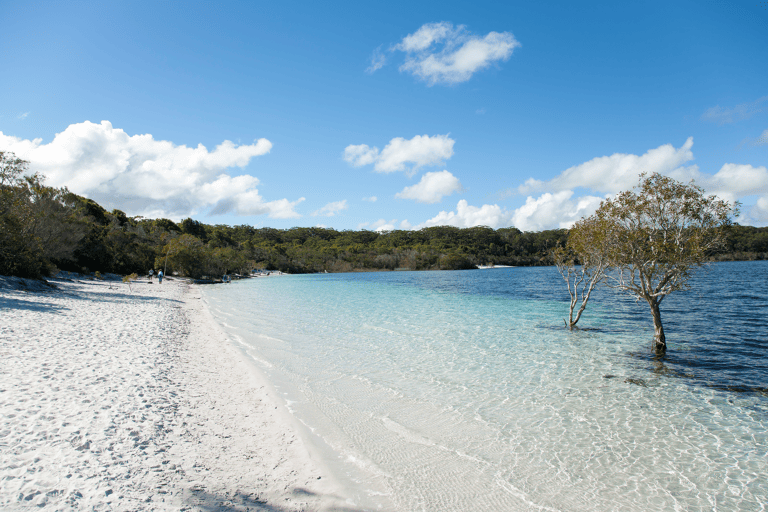 australia-fraser-island-white-beach-brisbane