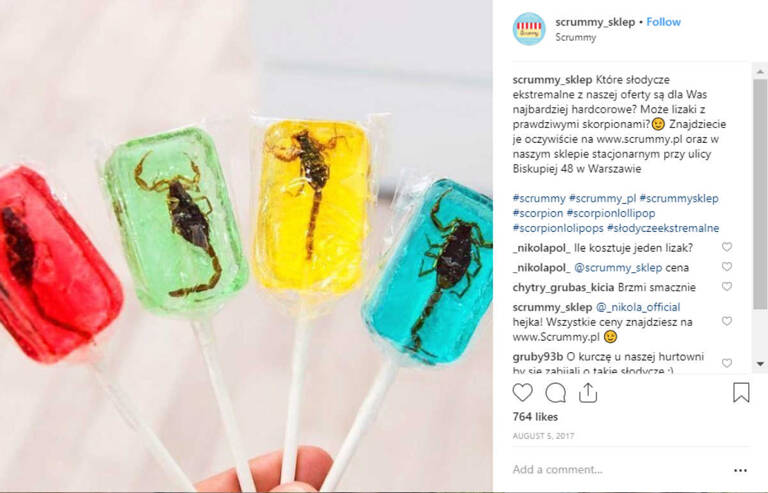 blog-gekste-souvenirs-schorpioen-lolly