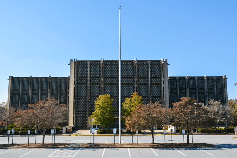 blog-netflix-stranger-things-atlanta-emory-university