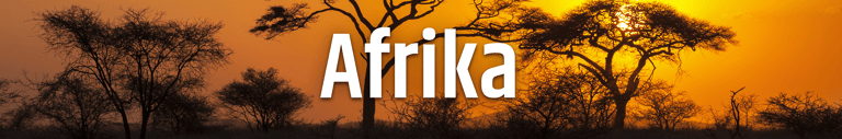 blog-plugs-africa