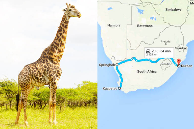 blog-split-afrika