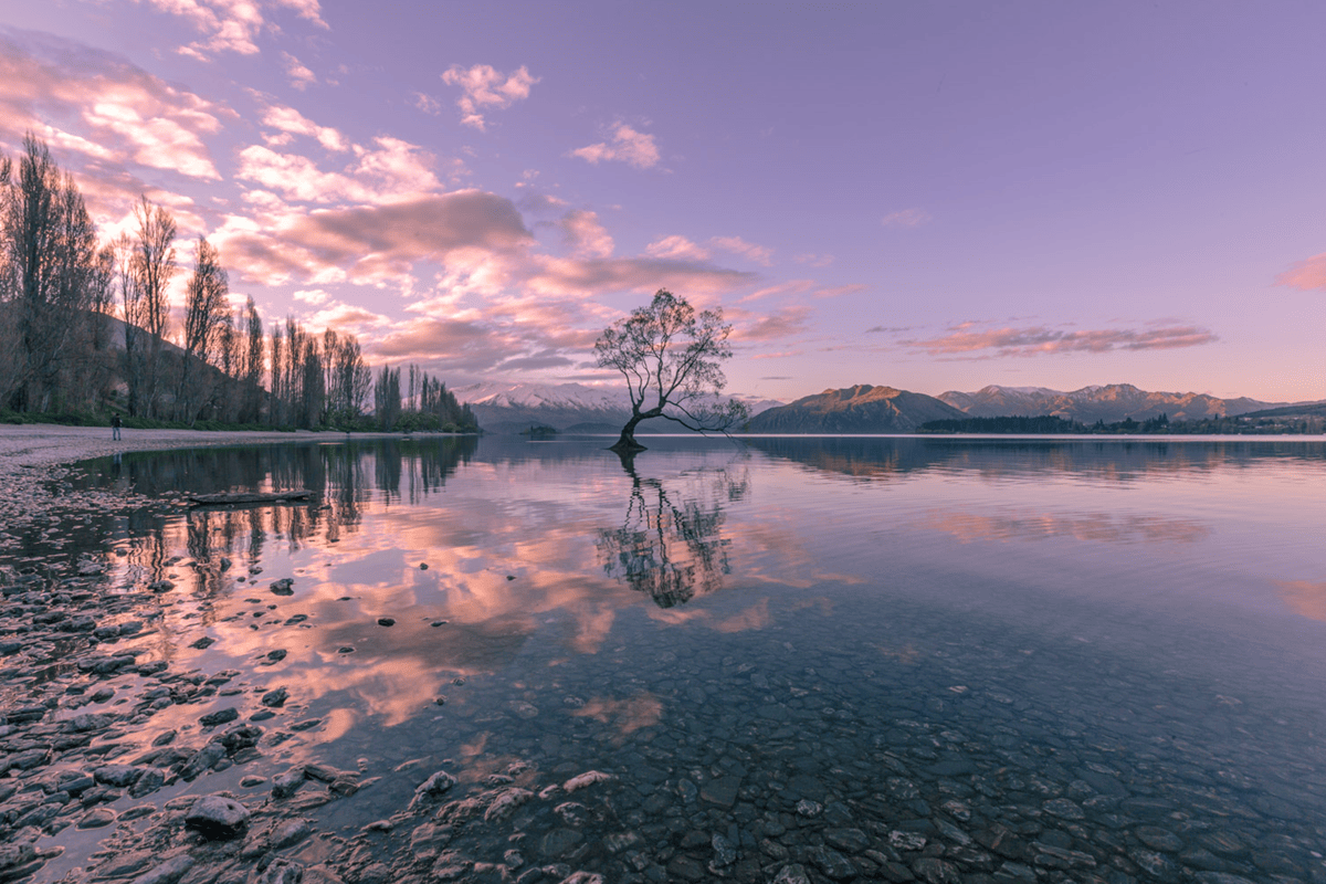 A love affair with Wanaka