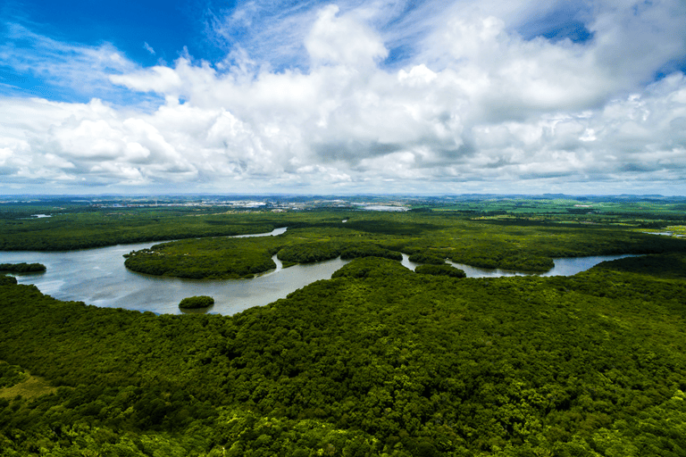 brazilie