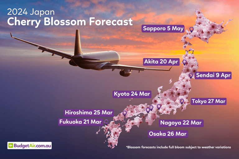 buaau-cherry-blossom-2024