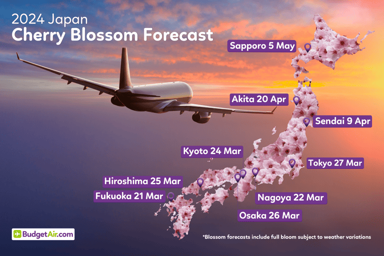 buaca-cherry-blossom-2024