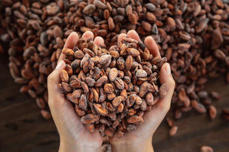 cocoa-beans-generic