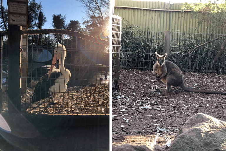 ctsg-blog-sydneyfamily-featherdalepark