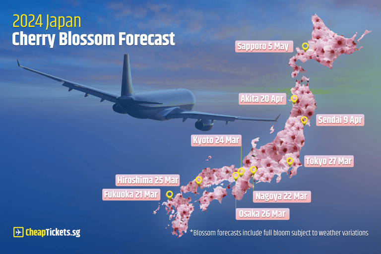 ctsg-cherry-blossom-forecast-2024
