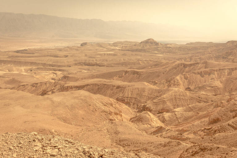 desert