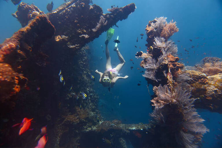 diving2