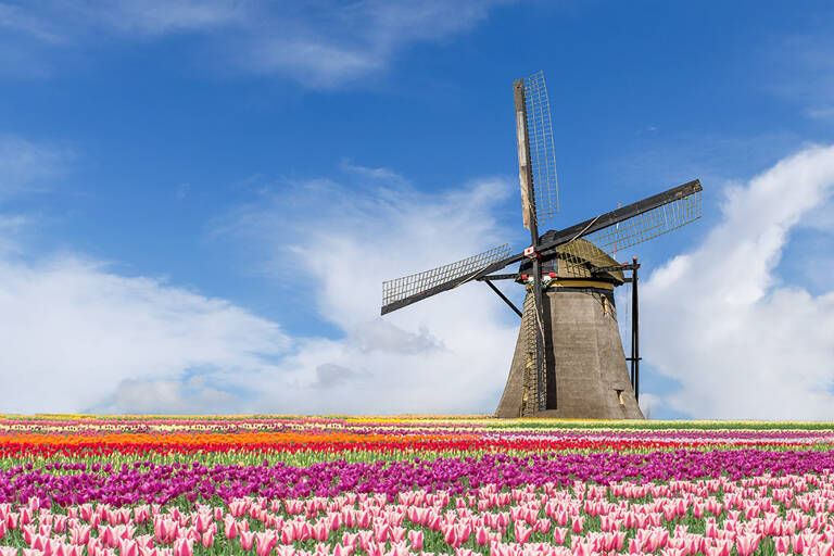 europa-netherlands-keukenhof-blog-1050x700