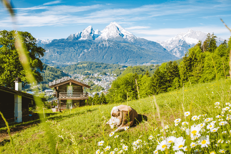 europe-austria-farm