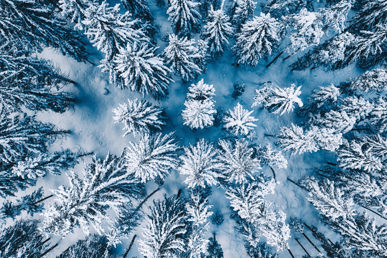 europe-austria-snow-winter-forrest-aereal-view