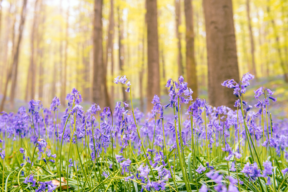 Is spring the best season to travel?