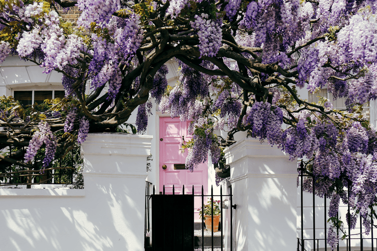 europe-england-london-notting-hill-flowers-entrance-house