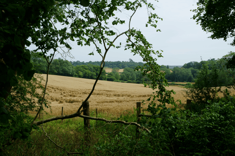 europe-england-view-countryside