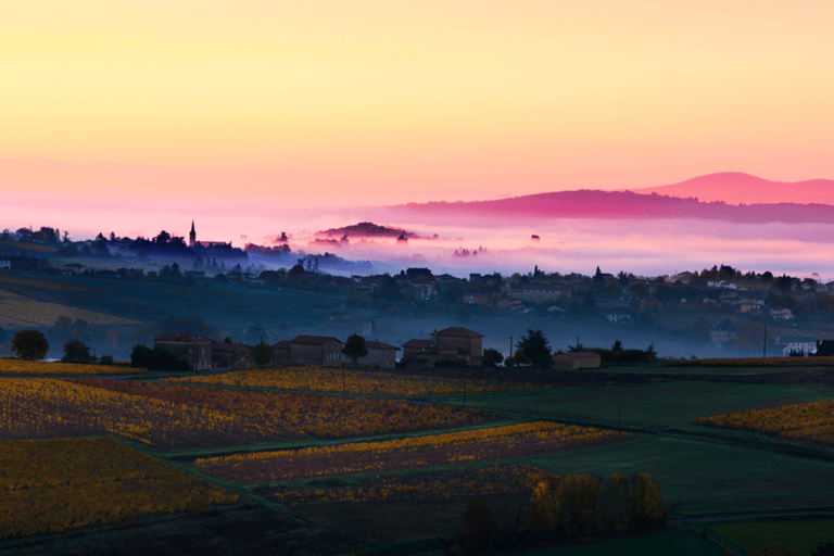 europe-france-burgundy