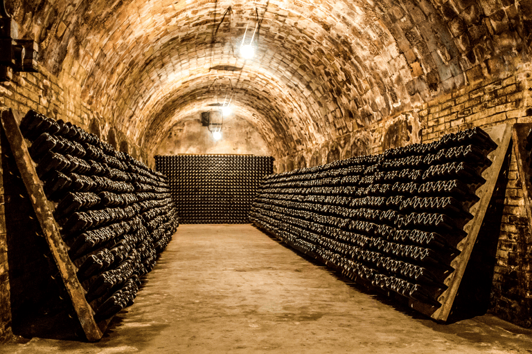 europe-france-champagne-ardenne-wine-cellar
