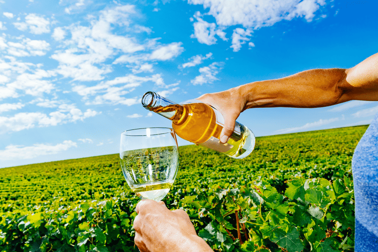 europe-france-loire-valley-sancerre-glass-of-wine