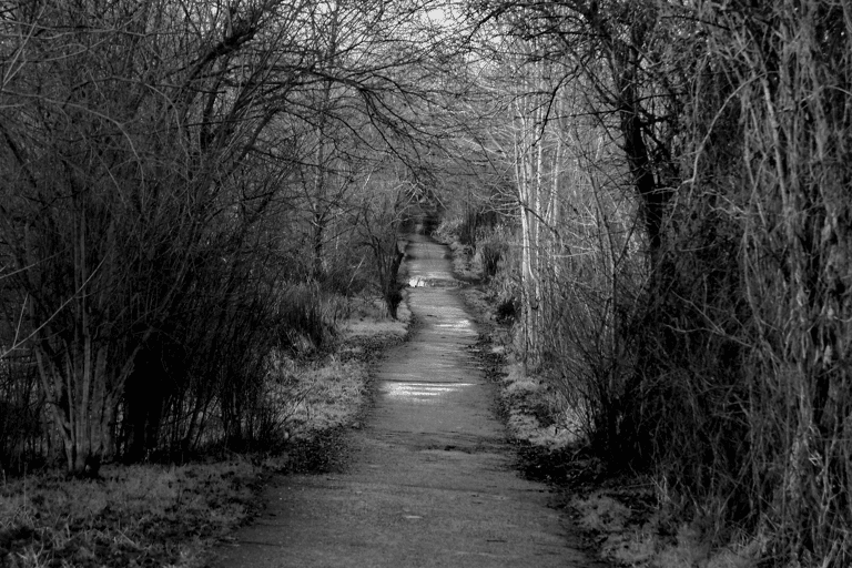 europe-germany-berlin-berlin-wall-path-bw