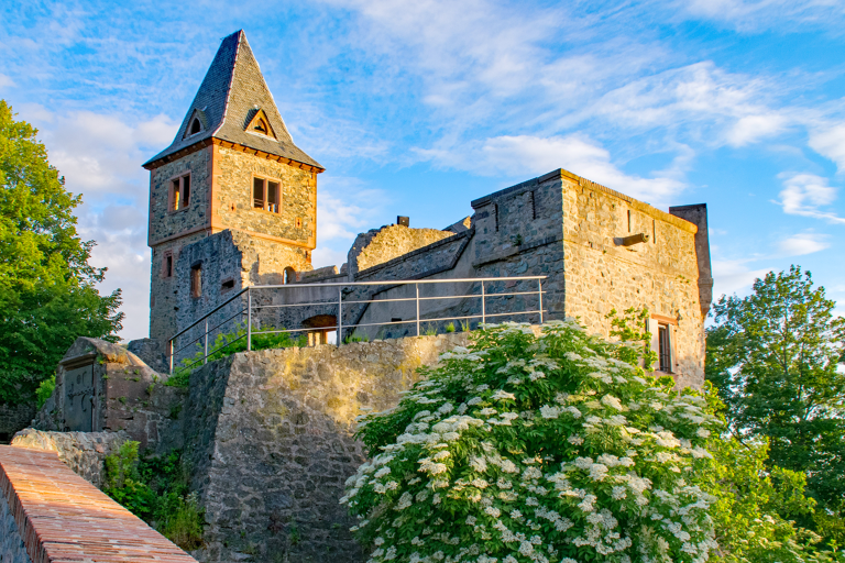 europe-germany-darmstadt-frankenstein-castle