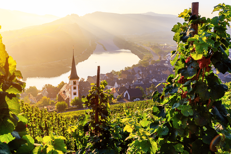 europe-germany-hunsruck-bremm-moselschleife