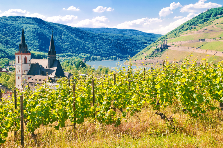 europe-germany-rhine-vineyard