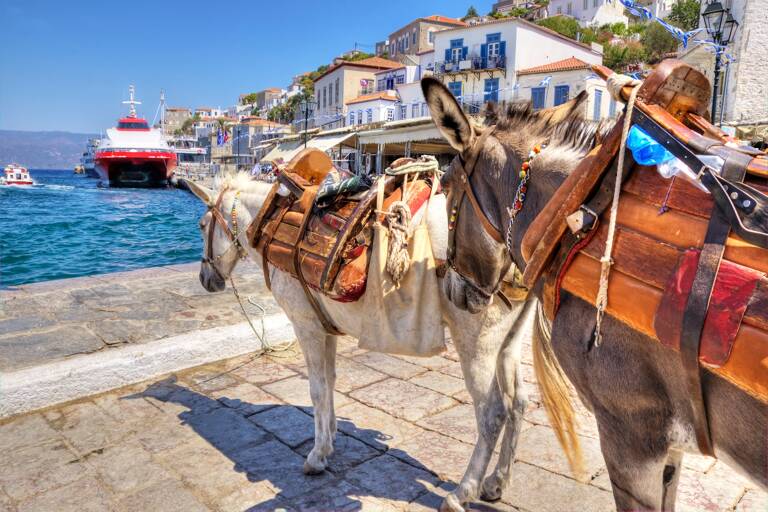 europe-greece-hydra-donkeys